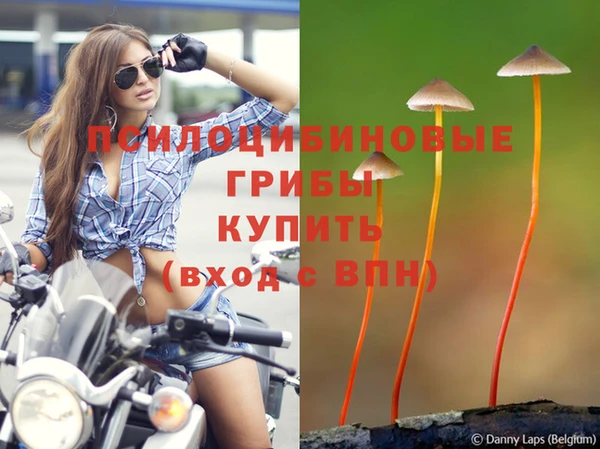 mdpv Нязепетровск