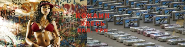 таблы Няндома