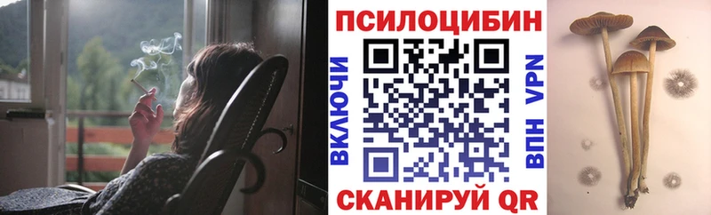 kraken как войти  наркошоп  Хотьково  Галлюциногенные грибы Psilocybe 